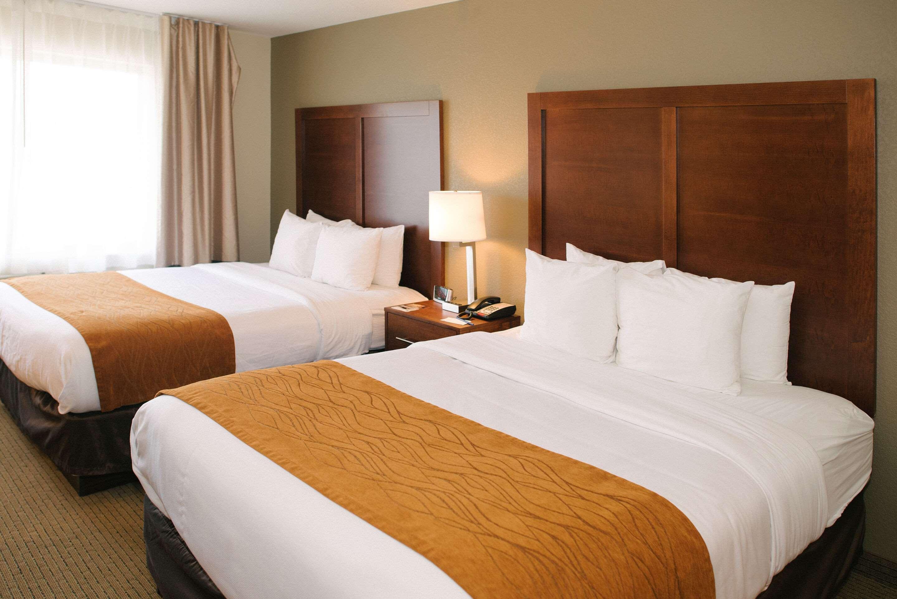 Comfort Inn & Suites Кастер Экстерьер фото
