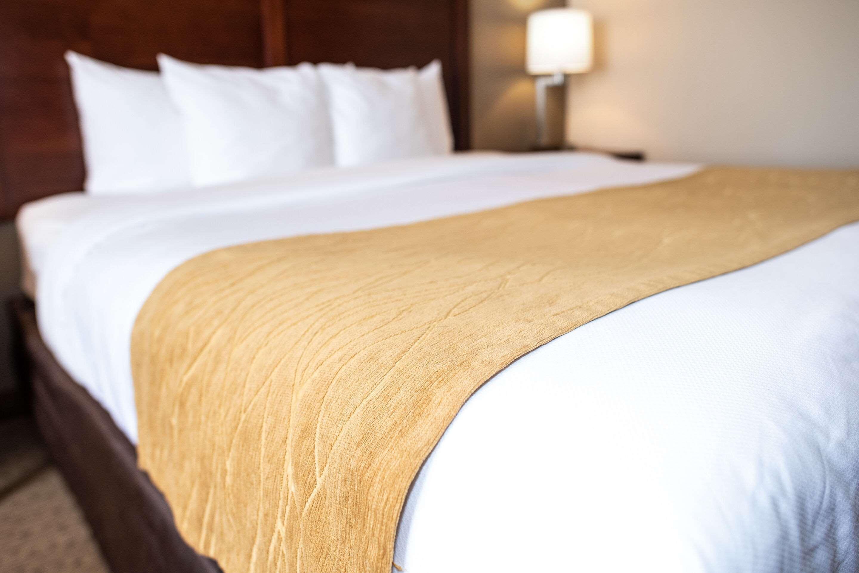 Comfort Inn & Suites Кастер Экстерьер фото